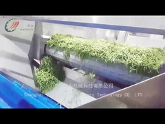 Πώς η γραμμή παραγωγής κονσερβοποιημένων φασολιών παράγει κονσερβοποιημένα φασόλια;