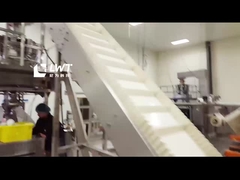 Αυτόματη γραμμή παραγωγής σάκων με φασόλια