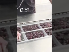 Η γραμμή παραγωγής συσκευασίας χρονοδιαγράμματος αυτόματη συσκευασία χρονοδιαγράμματος