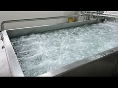 φυτικό πλυντήριο