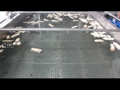 Μηχάνημα Καθαρισμού Φυσαλίδων Μανιταριών